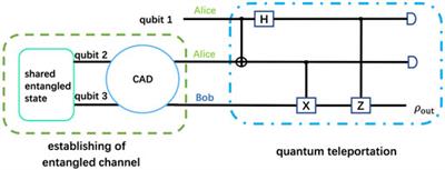 Enhancing the teleportation of quantum Fisher information under correlated amplitude damping decoherence